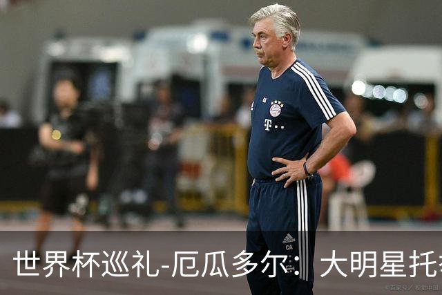 世界杯巡礼-厄瓜多尔：大明星托举小角色，高原雄鹰前景可期！