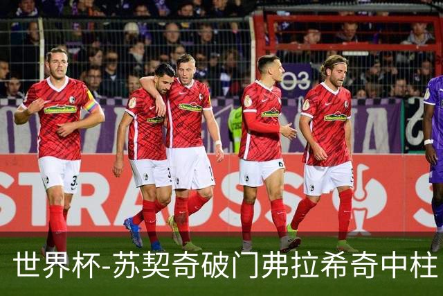 世界杯-苏契奇破门弗拉希奇中柱 克罗地亚半场1-0加纳