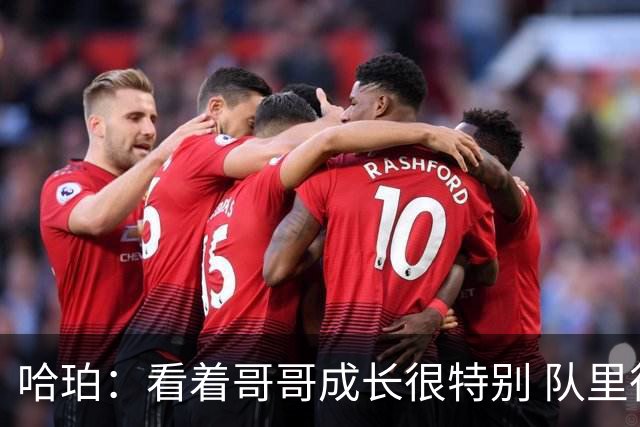 哈珀：看着哥哥成长很特别 队里很多老将帮我站稳脚跟