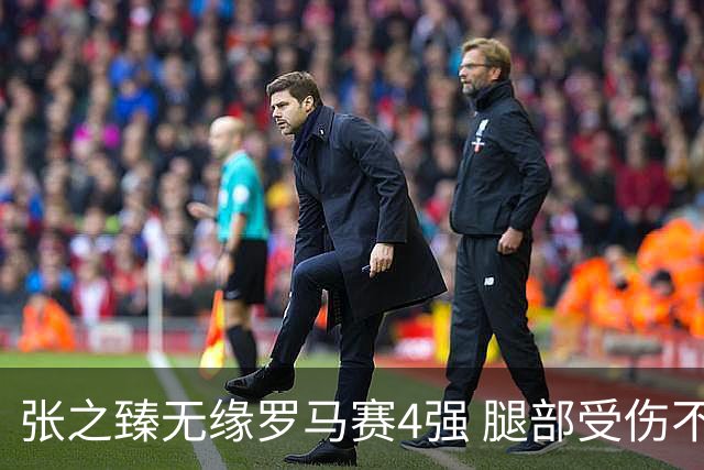 张之臻无缘罗马赛4强 腿部受伤不知会否影响法网