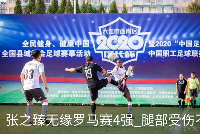 张之臻无缘罗马赛4强 腿部受伤不知会否影响法网