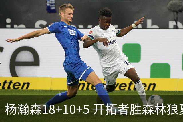 杨瀚森18+10+5 开拓者胜森林狼夏联首胜