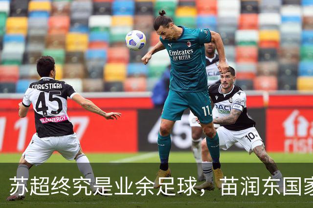 苏超终究是业余足球，苗润东国家队表现一般！孙继海邵佳一说中了