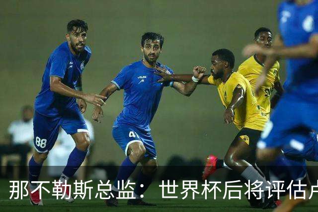 那不勒斯总监：世界杯后将评估卢卡库，关注哈莱利的并非只有我们